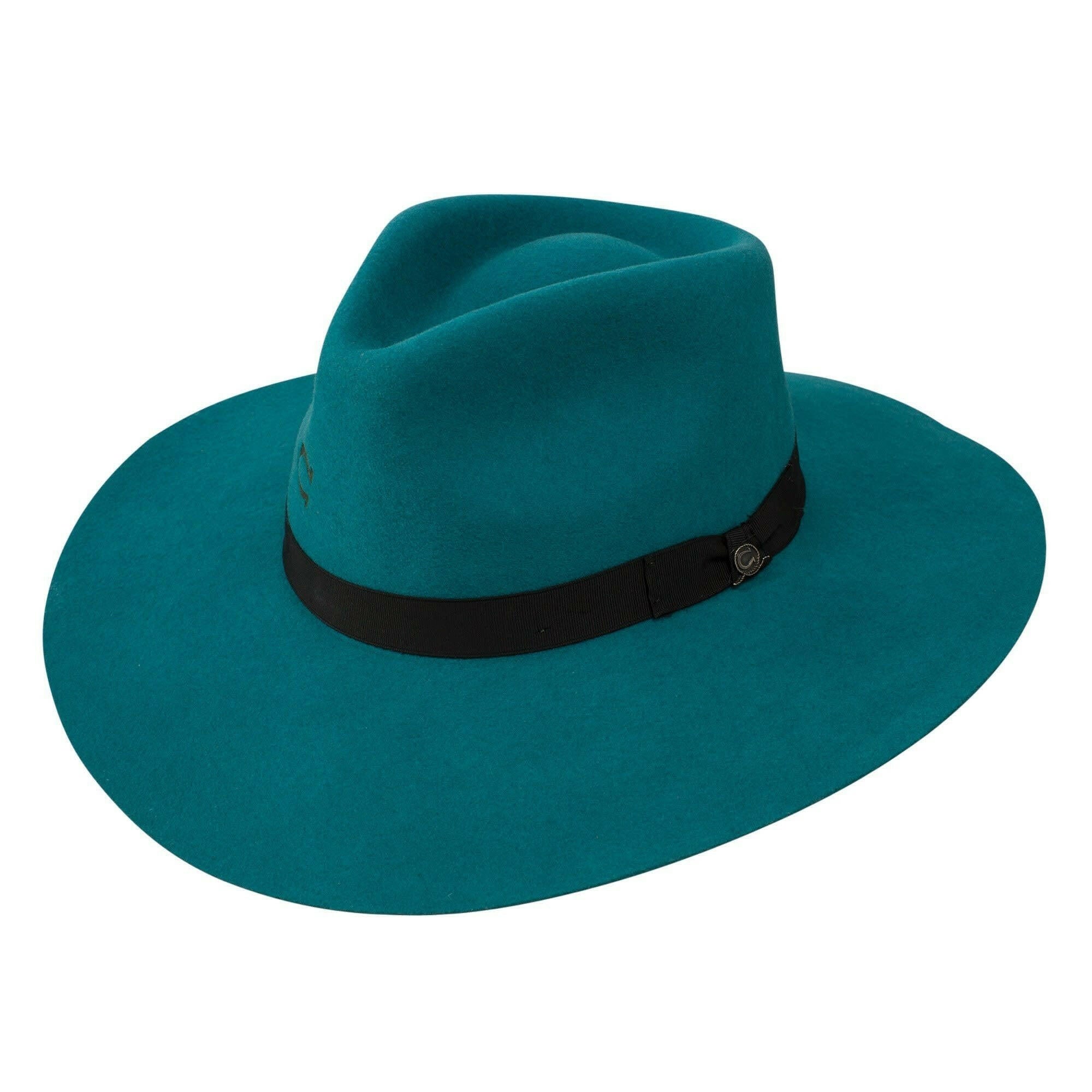 Charlie 1 Horse Highway Hat C4.
