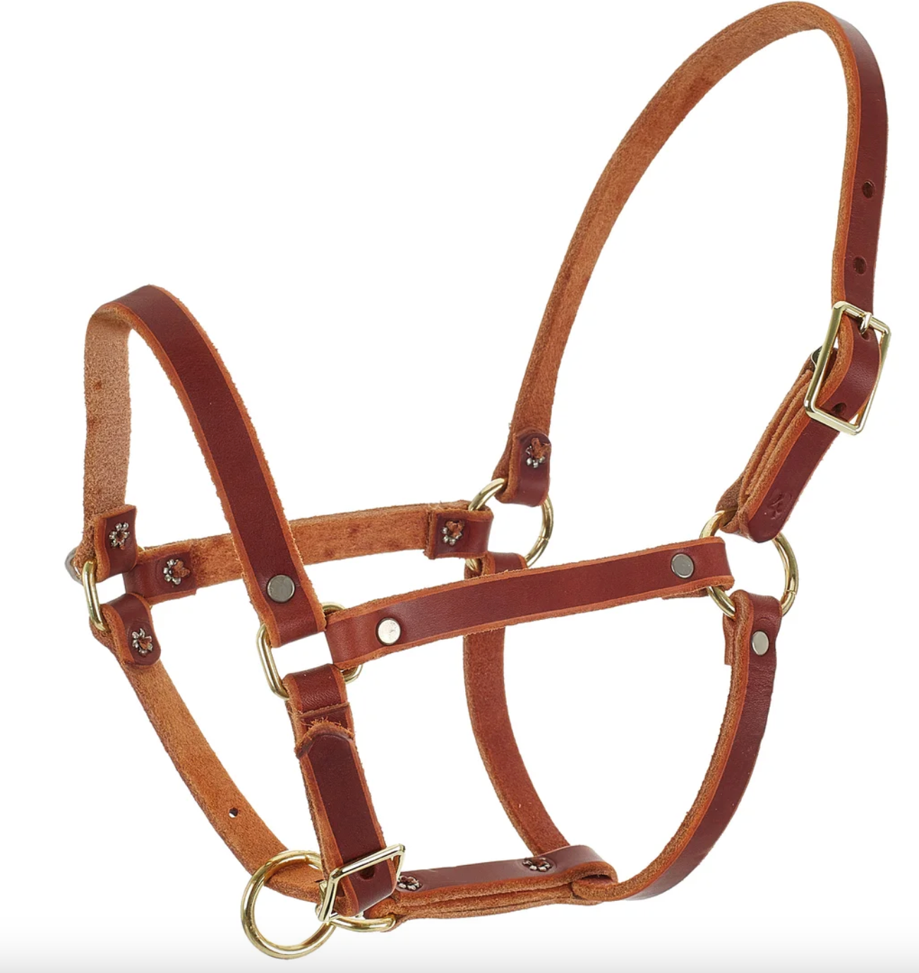 Berlin Leather Co Riveted Suckling Halter NO405