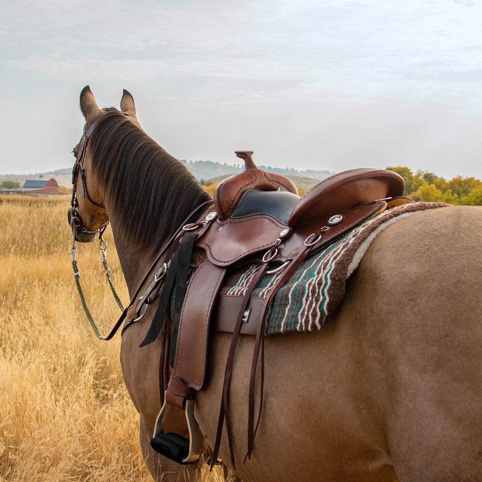 Cashel Trail Saddle 16" SA-CT16-W