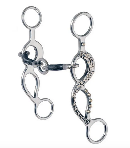 Reinsman's Sharon Camarillo Rolux Staeg C Gag Bit.