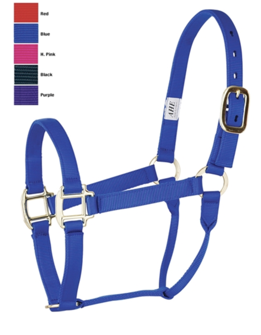 AHE Nylon Average Horse Halter.