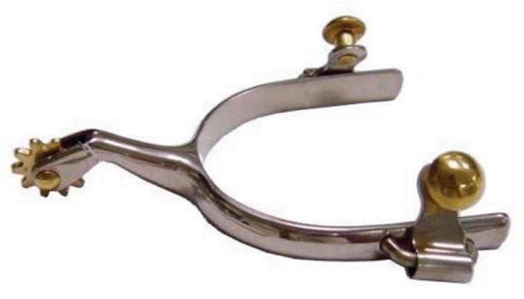 AHE 1/2" Plain Silver Band Spur.