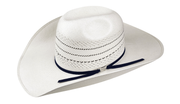 Bailey Arriba 20X Straw Hat.
