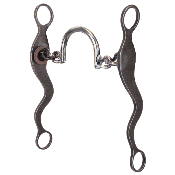 Reinsman Mike Beers High Port Chain Bit.