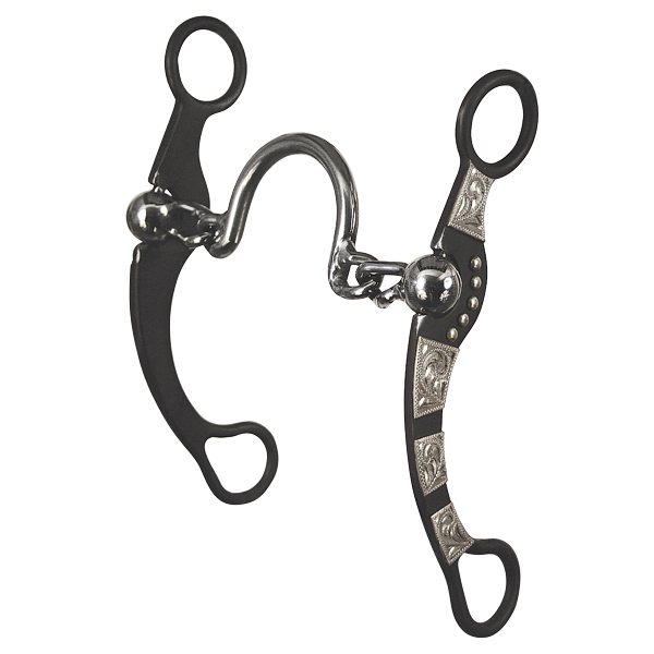 Reinsman Pro Roper Ported Chain Bit.