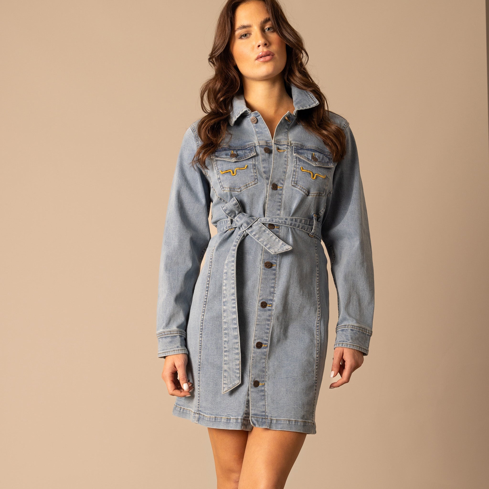 Kimes Ranch Women's Winslow Trucker Jean Dress