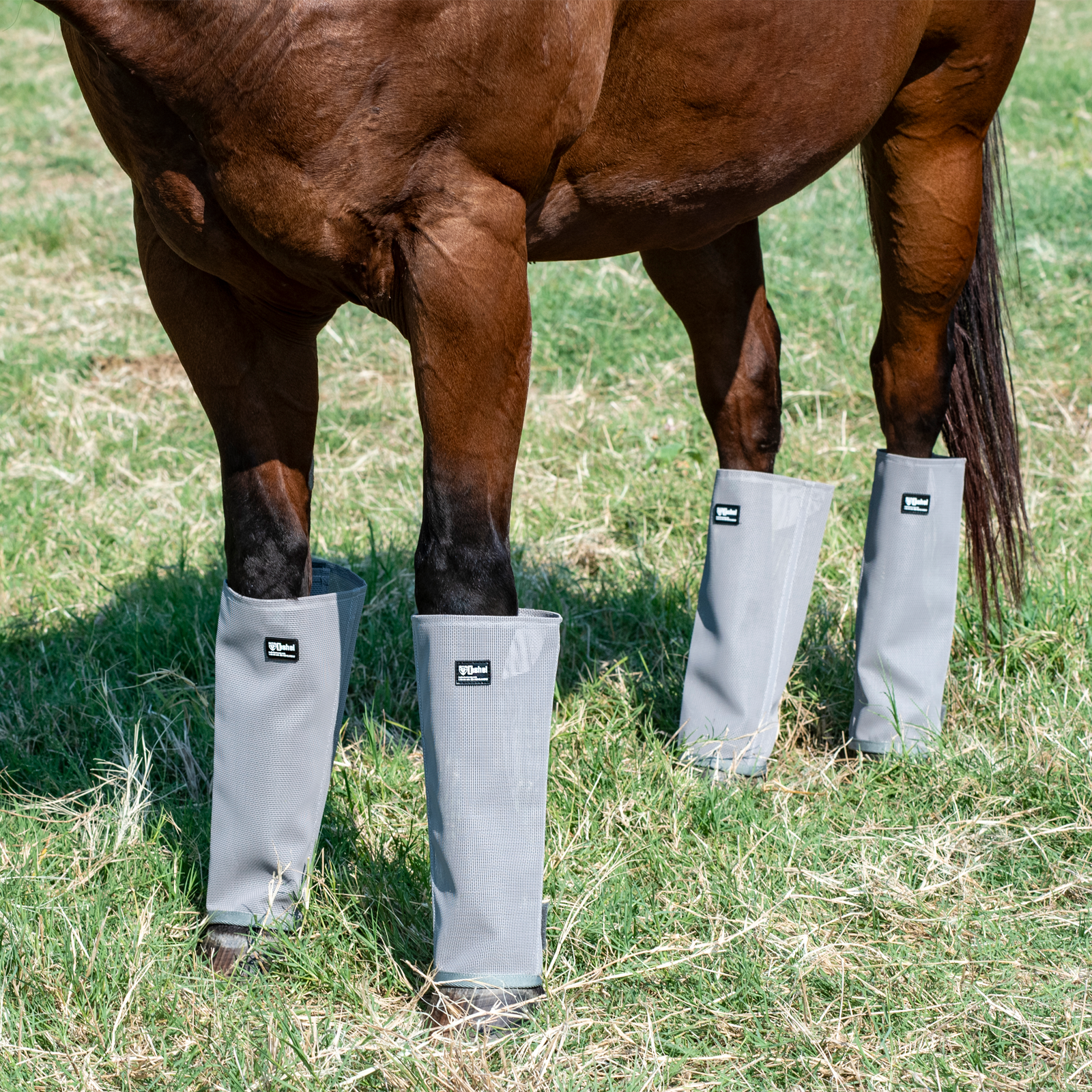 Cashel Crusader Leg Guards LG4