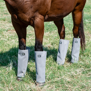 Cashel Crusader Leg Guards LG4