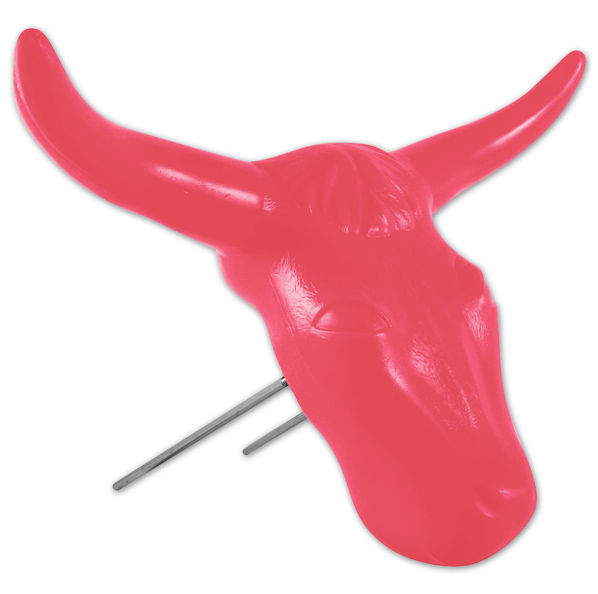 Classic Equine Steer Head Dummy.