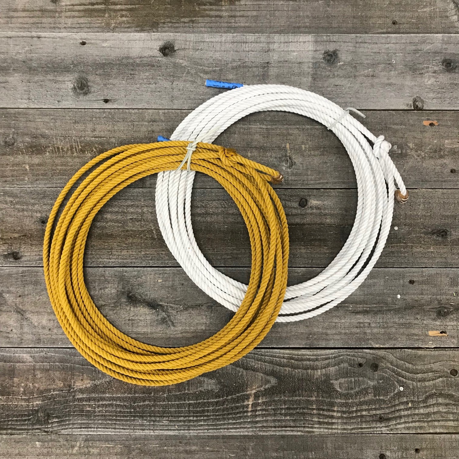 Open Range 60' Poly Ranch Rope